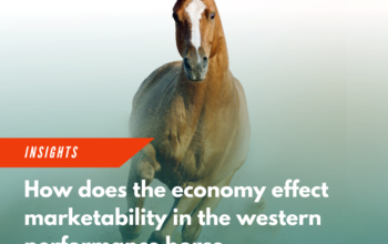 How does the stock market impact the Western Performance Horse Market?
