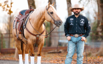 Stallion Feature: Starjac Vintage