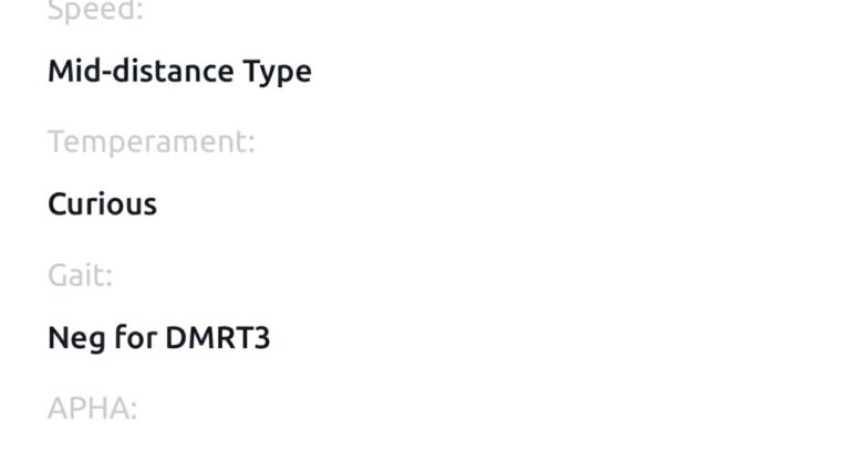 Smoky Cream Spooks Grand Slam Filly